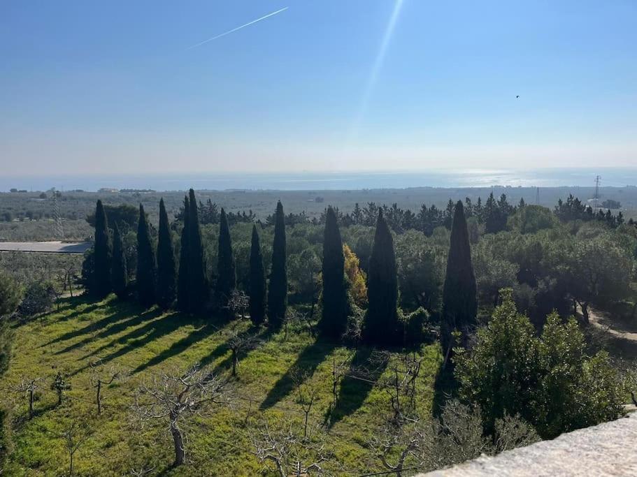 Casa Masseria Dell'800 Gargano. Le Mignole Монте-Сант'Анджело Экстерьер фото