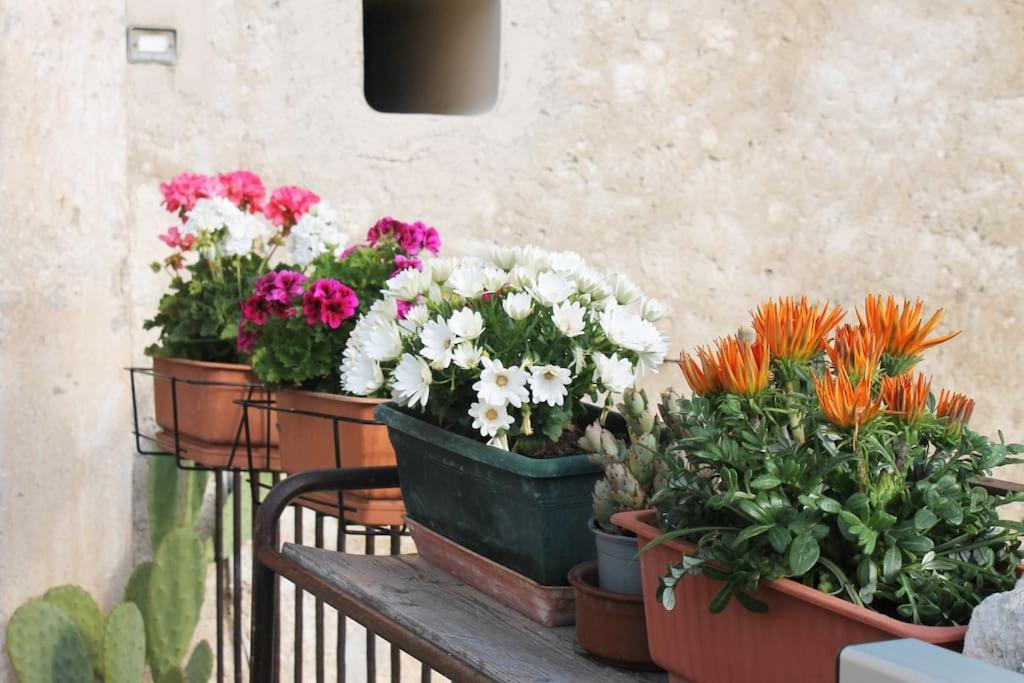 Casa Masseria Dell'800 Gargano. Le Mignole Монте-Сант'Анджело Экстерьер фото