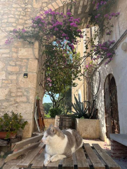 Casa Masseria Dell'800 Gargano. Le Mignole Монте-Сант'Анджело Экстерьер фото