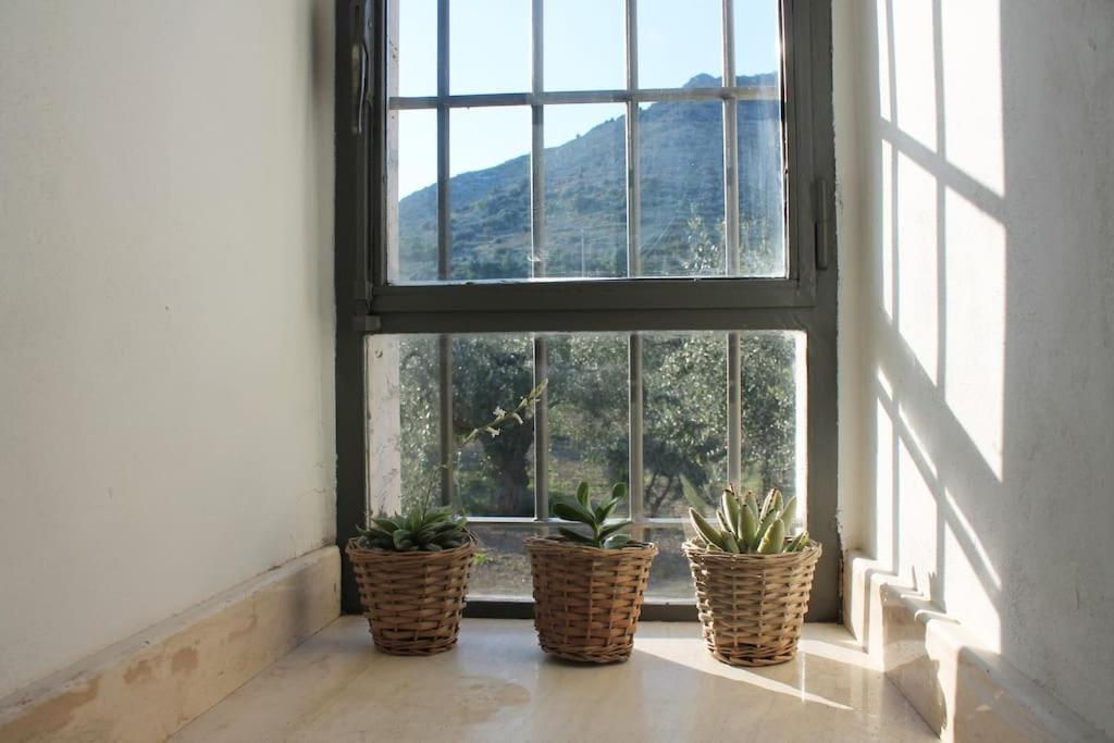 Casa Masseria Dell'800 Gargano. Le Mignole Монте-Сант'Анджело Экстерьер фото