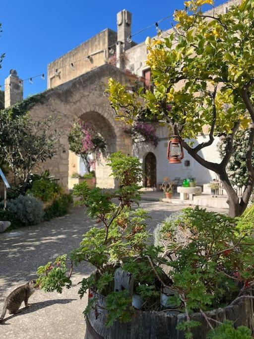 Casa Masseria Dell'800 Gargano. Le Mignole Монте-Сант'Анджело Экстерьер фото