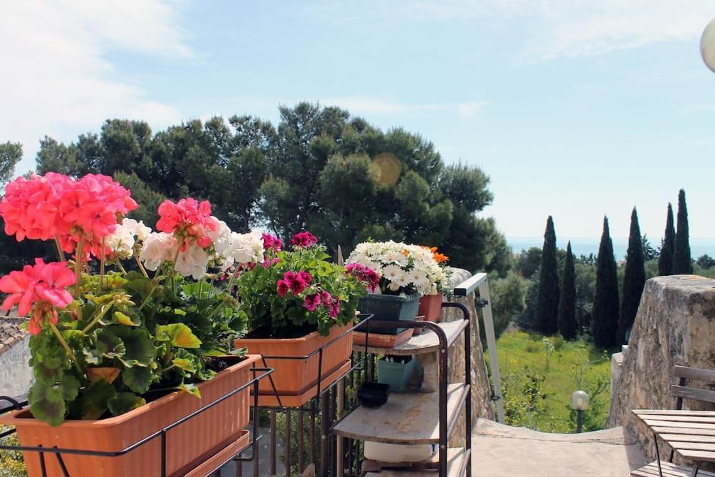 Casa Masseria Dell'800 Gargano. Le Mignole Монте-Сант'Анджело Экстерьер фото