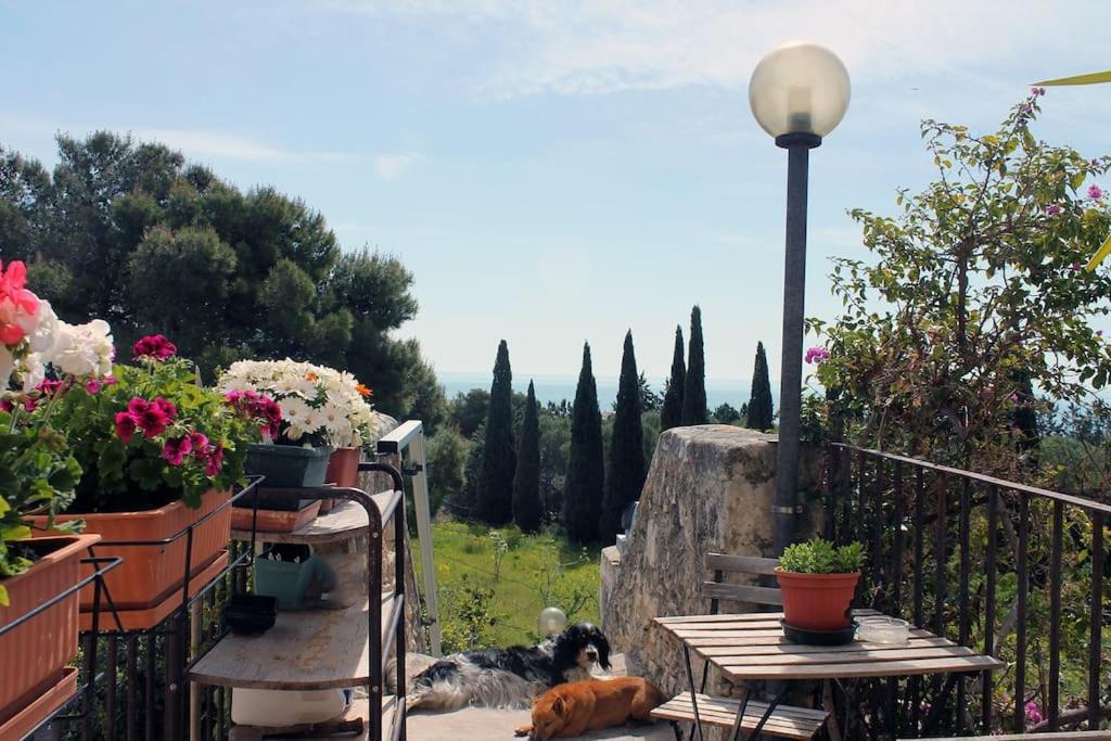 Casa Masseria Dell'800 Gargano. Le Mignole Монте-Сант'Анджело Экстерьер фото